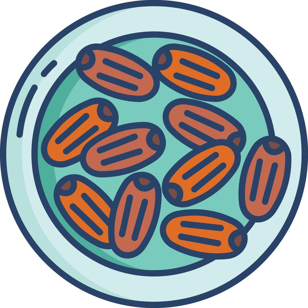 Medjool linear color illustration vector