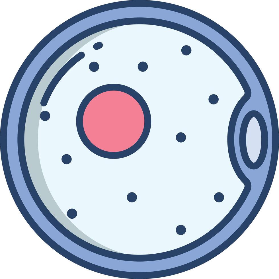 ovum linear color illustration vector