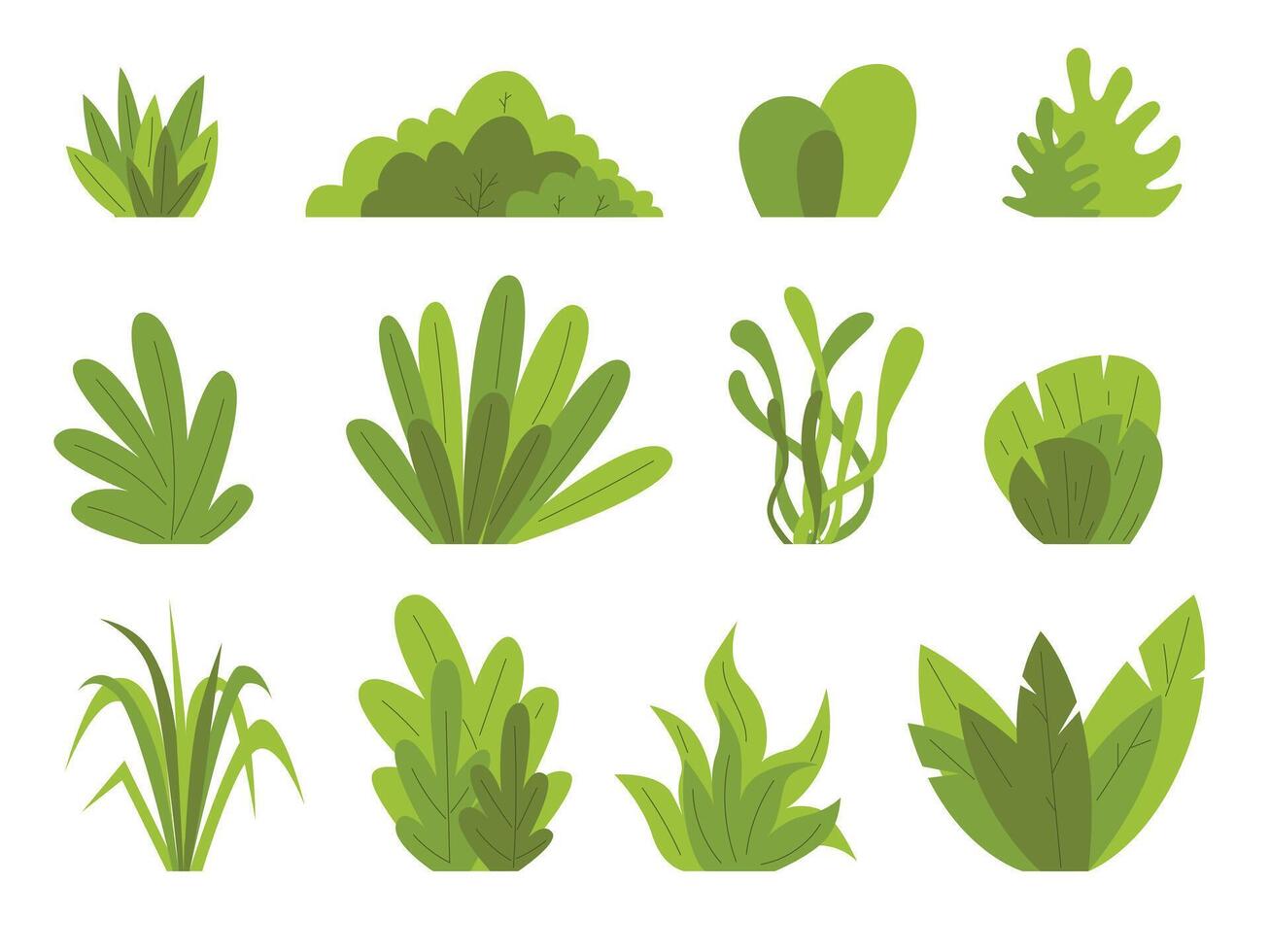 Hand drawn shrub bush shrubbery tree. set of garden plant element. Eco element vector