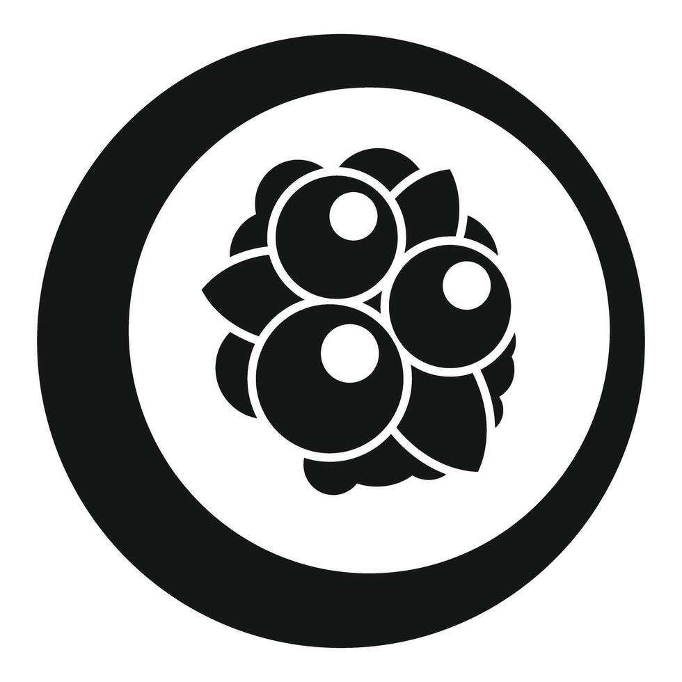 Blackcurrant berries circle icon showing food and dessert vector