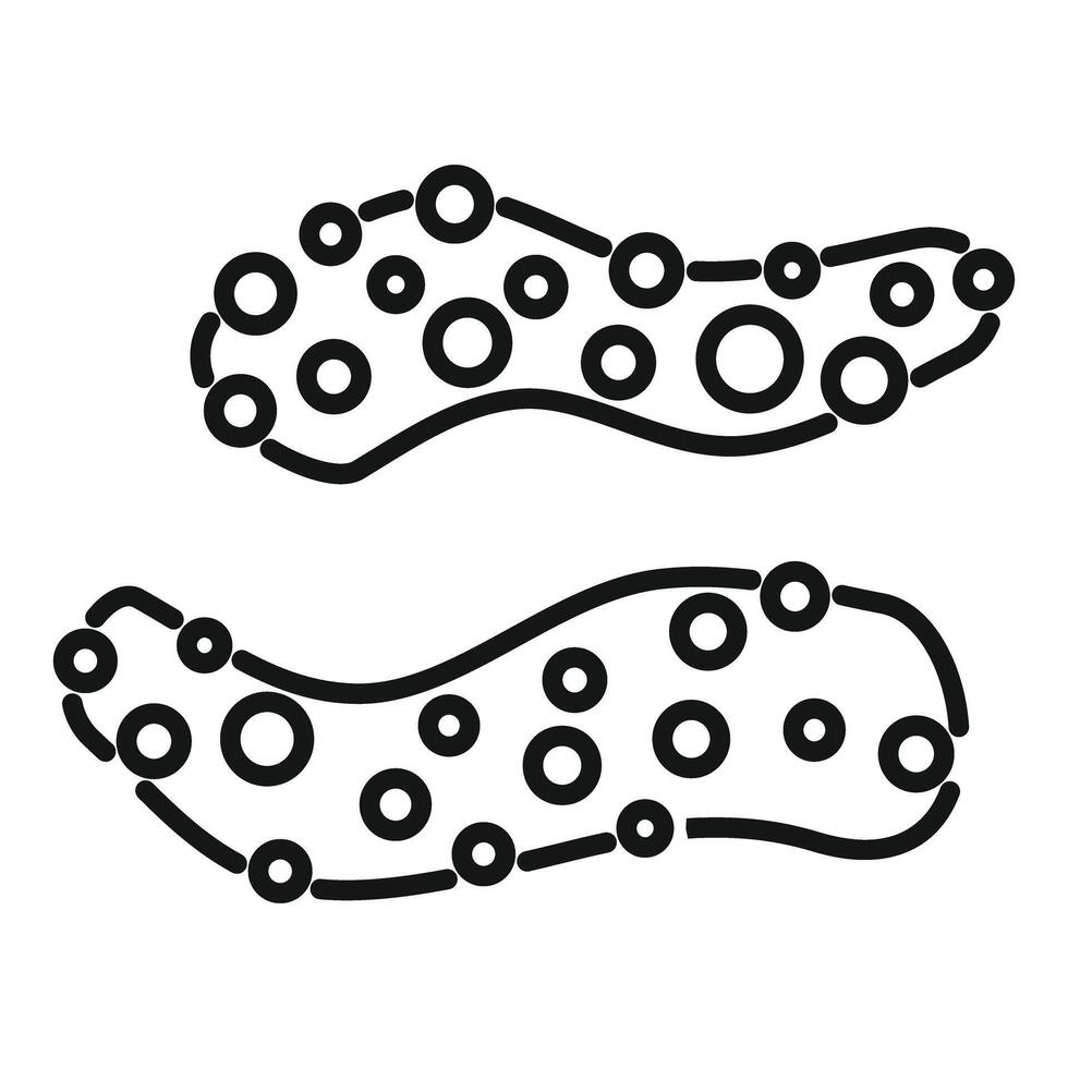 Bacteria dividing by binary fission, multiplying, spreading infection, microbiology concept vector