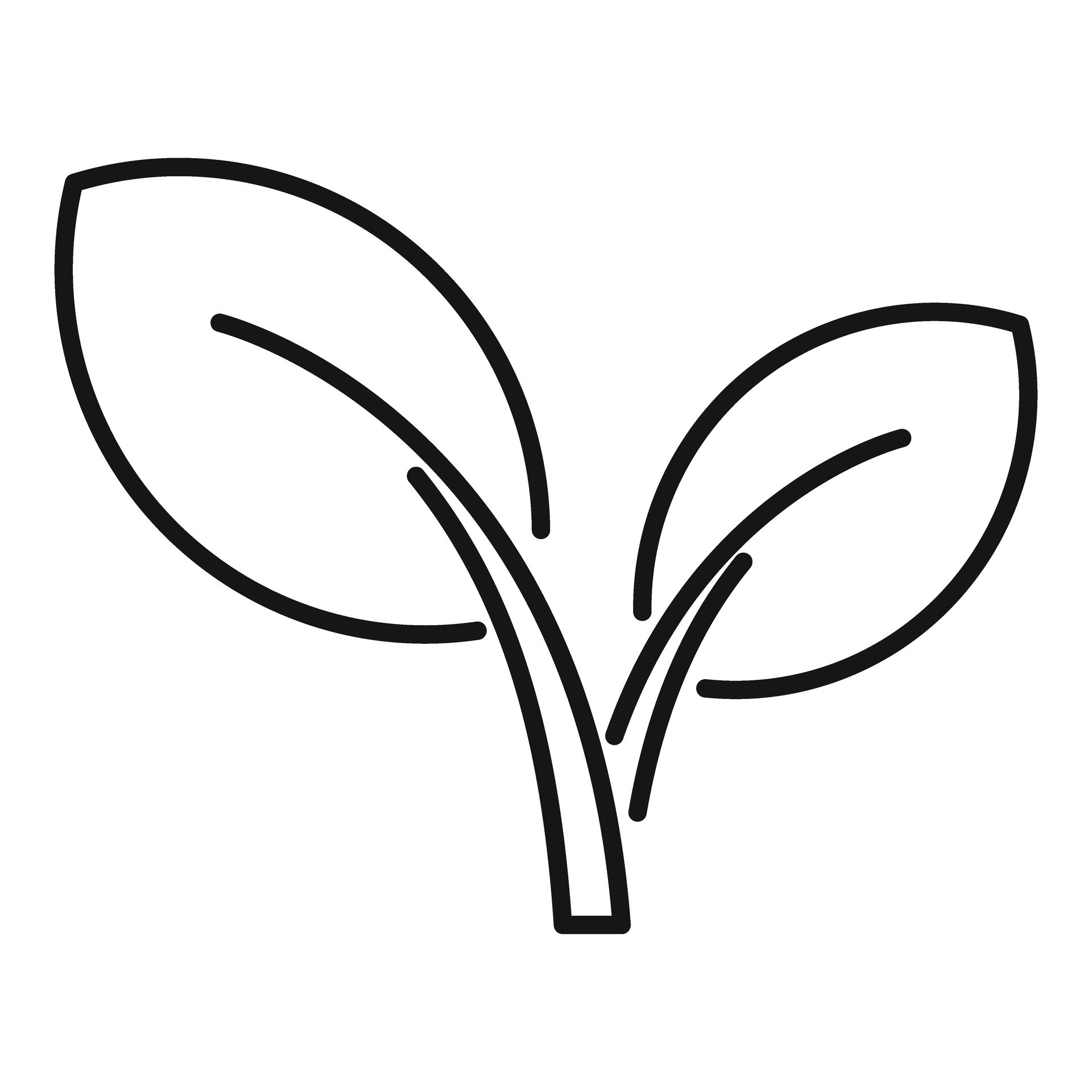 Simple line drawing of a plant sprout growing 47043965 Vector Art at ...