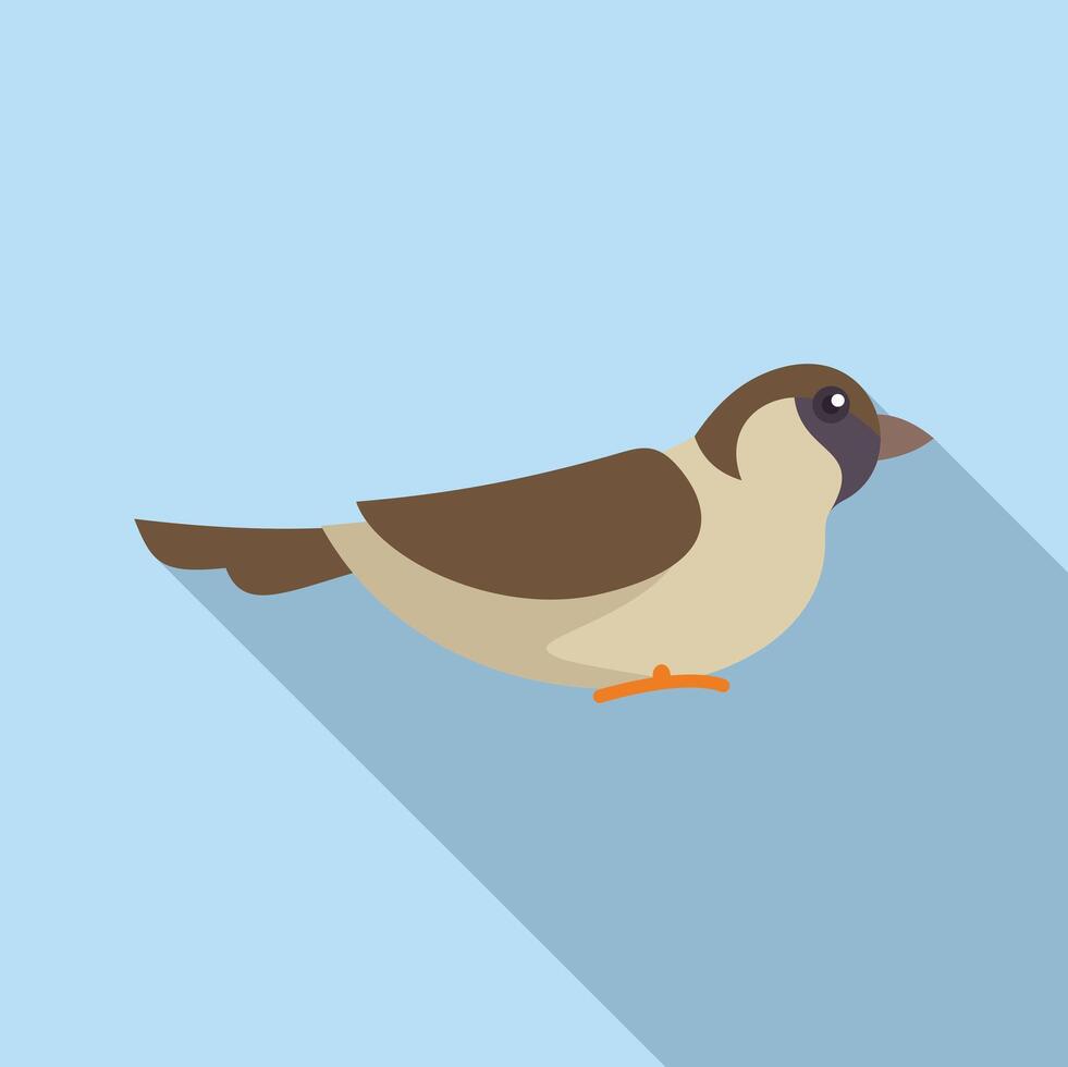 Small bird sparrow standing still looking right side view vector