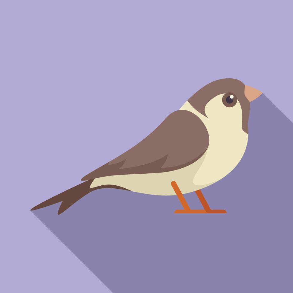 Cute java sparrow bird standing side view vector