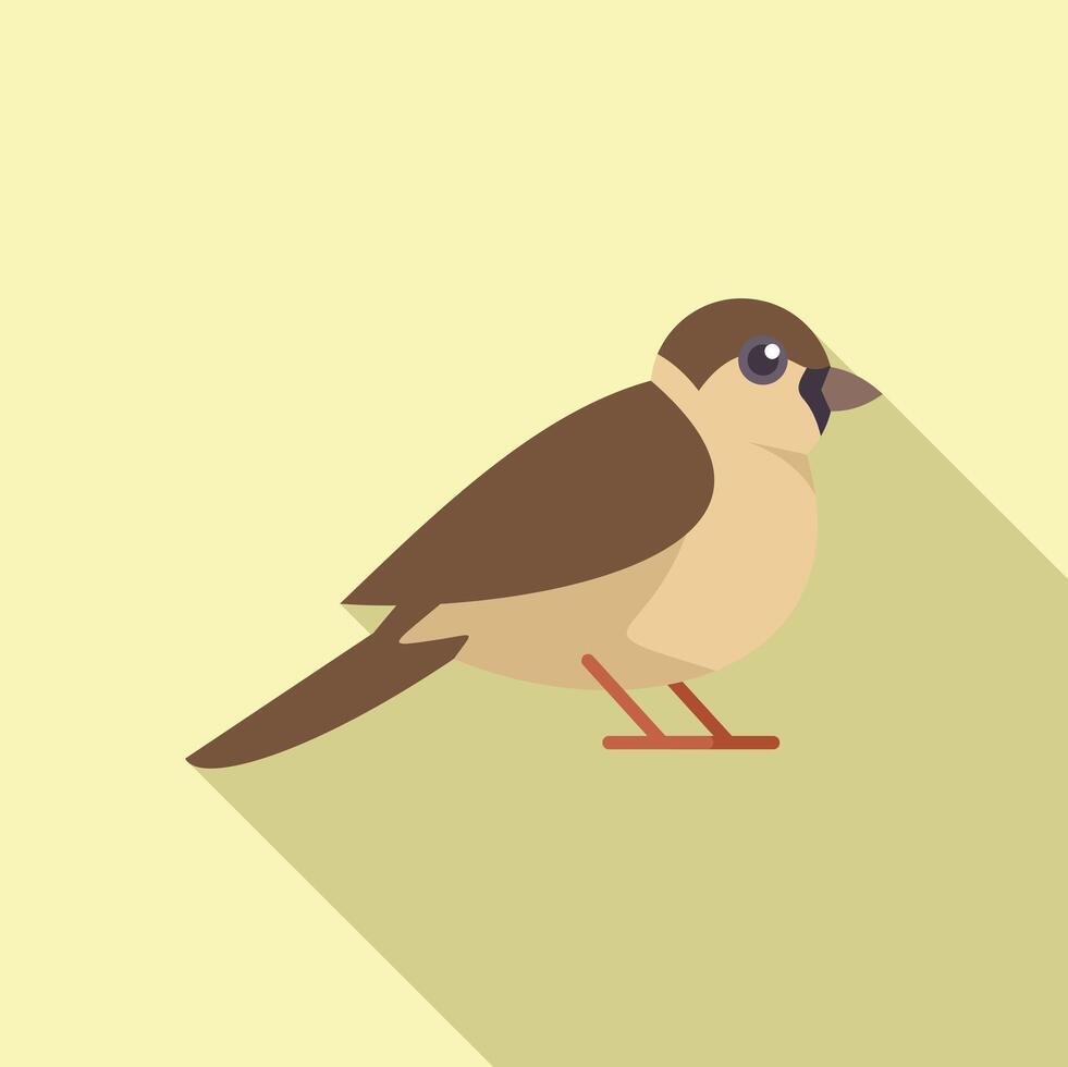 Little sparrow bird standing on ground with long shadow vector