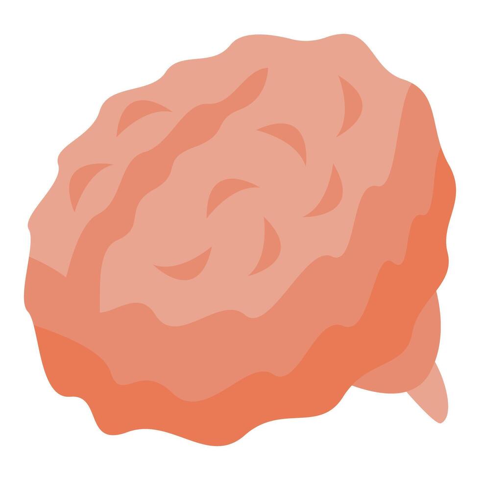 Human brain representing anatomy and intelligence in isometric view vector