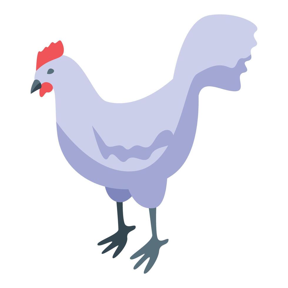 White hen standing on a white background vector