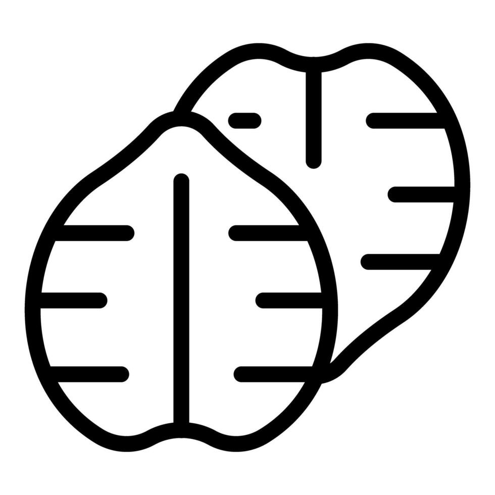 Simple line drawing icon of two walnut halves vector