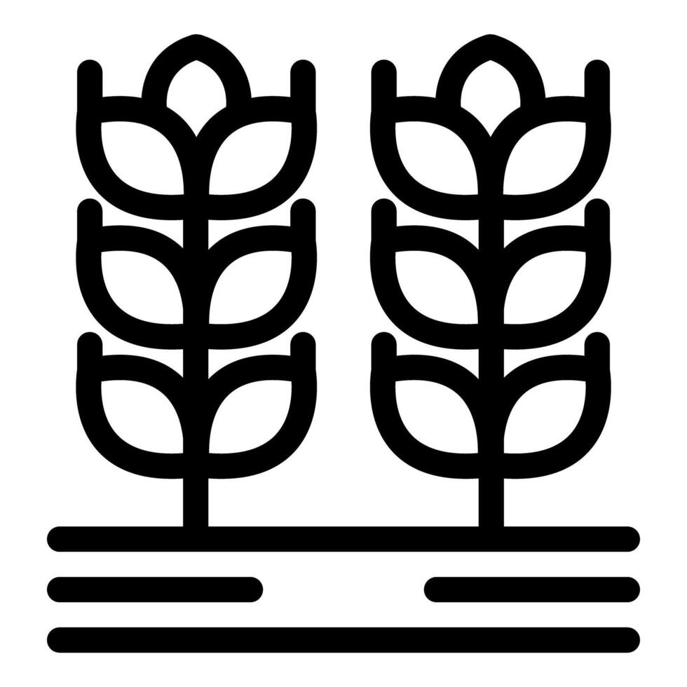 Two wheat stalks growing in field line art icon vector