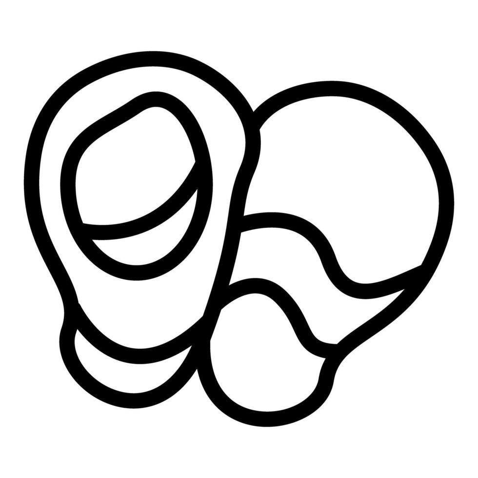 Macadamia nuts cracking open showing nut and shell line art drawing vector