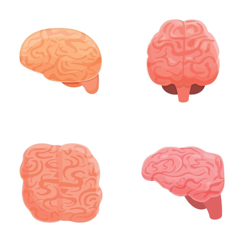 Brain organ icons set cartoon . Left and right hemisphere of human brain vector