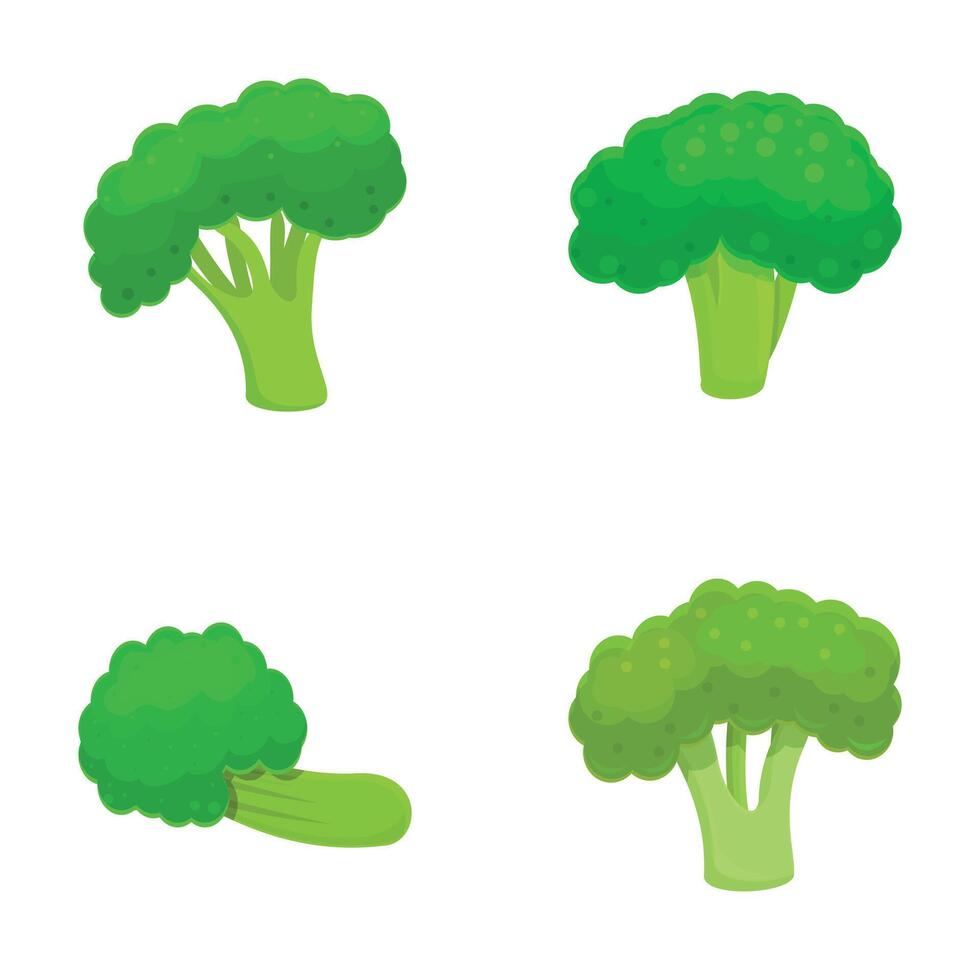 Green broccoli icons set cartoon . Organic broccoli cabbage on stalk vector