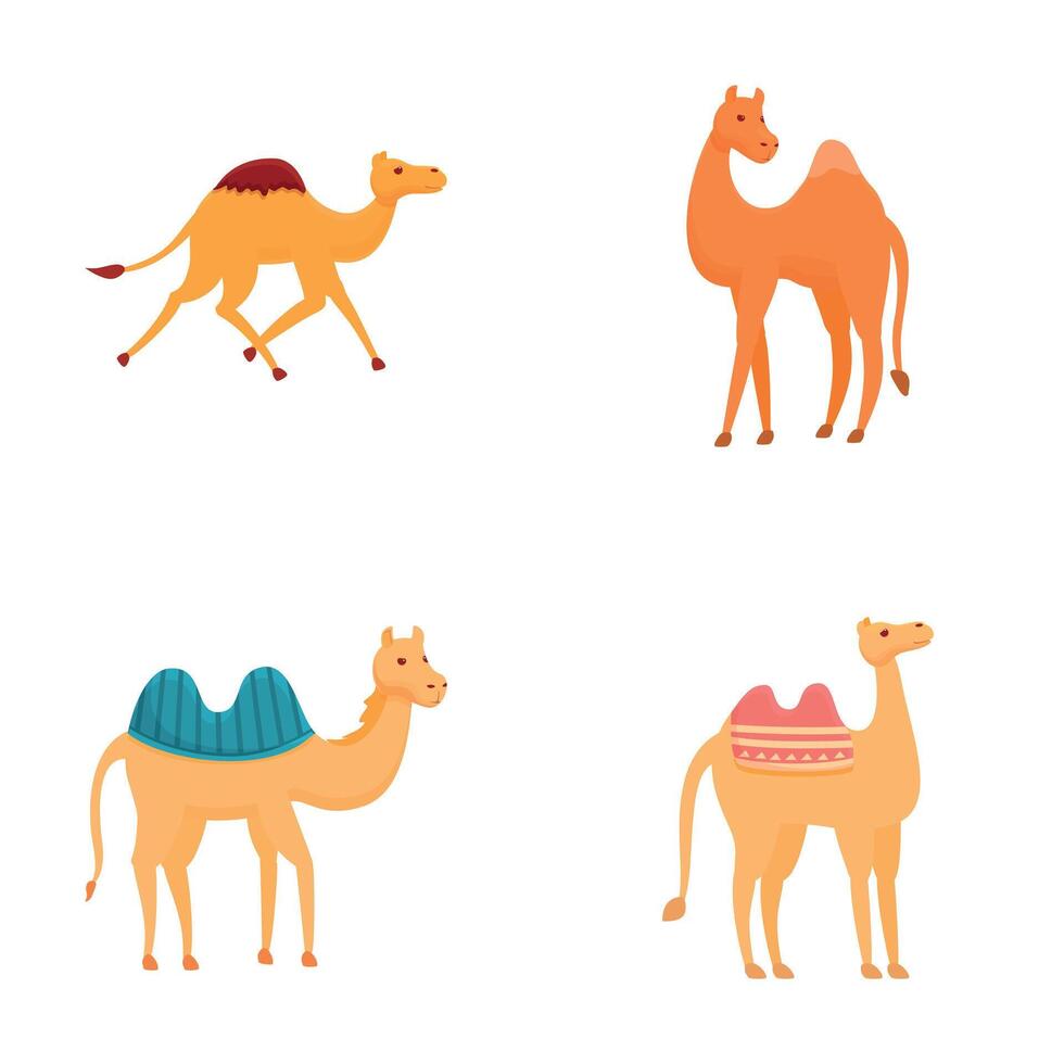 Cute camel icons set cartoon . Various type of camel with saddlery vector