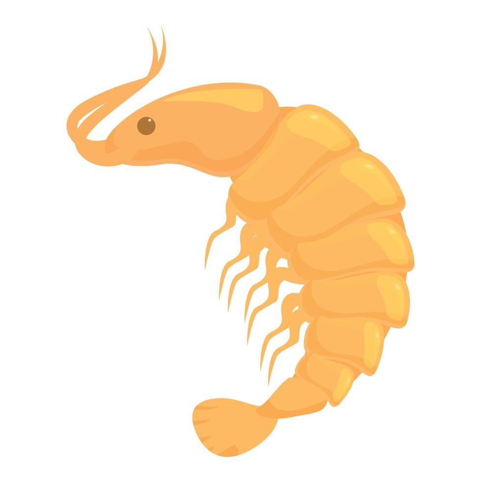 Cooked shrimp standing curled up on white background vector