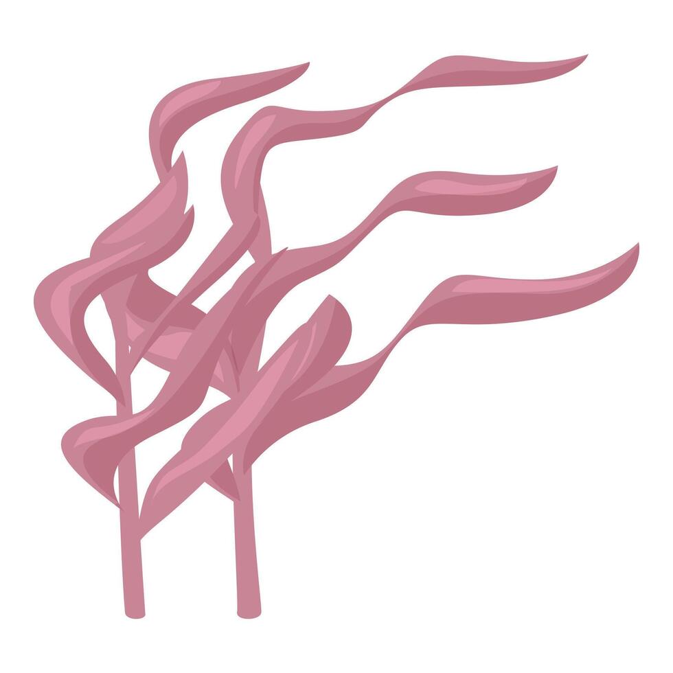 Pink seaweed waving underwater in the ocean vector