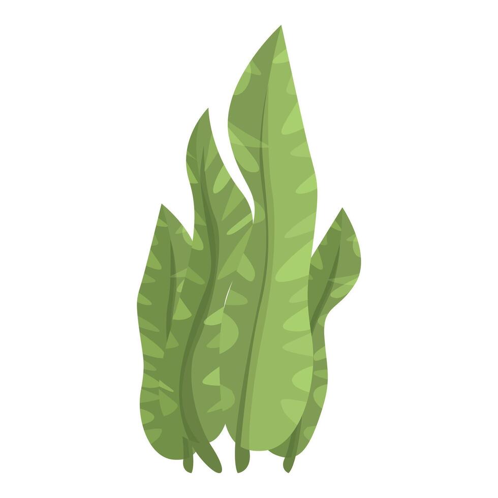 Green tropical leaves growing upwards in cluster vector