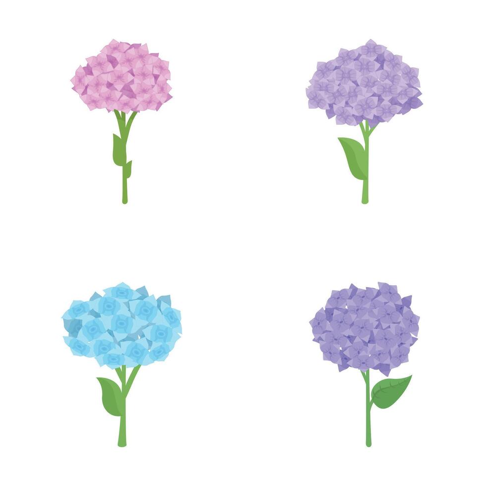 Hydrangea flower icons set cartoon . Colorful blooming hydrangea vector