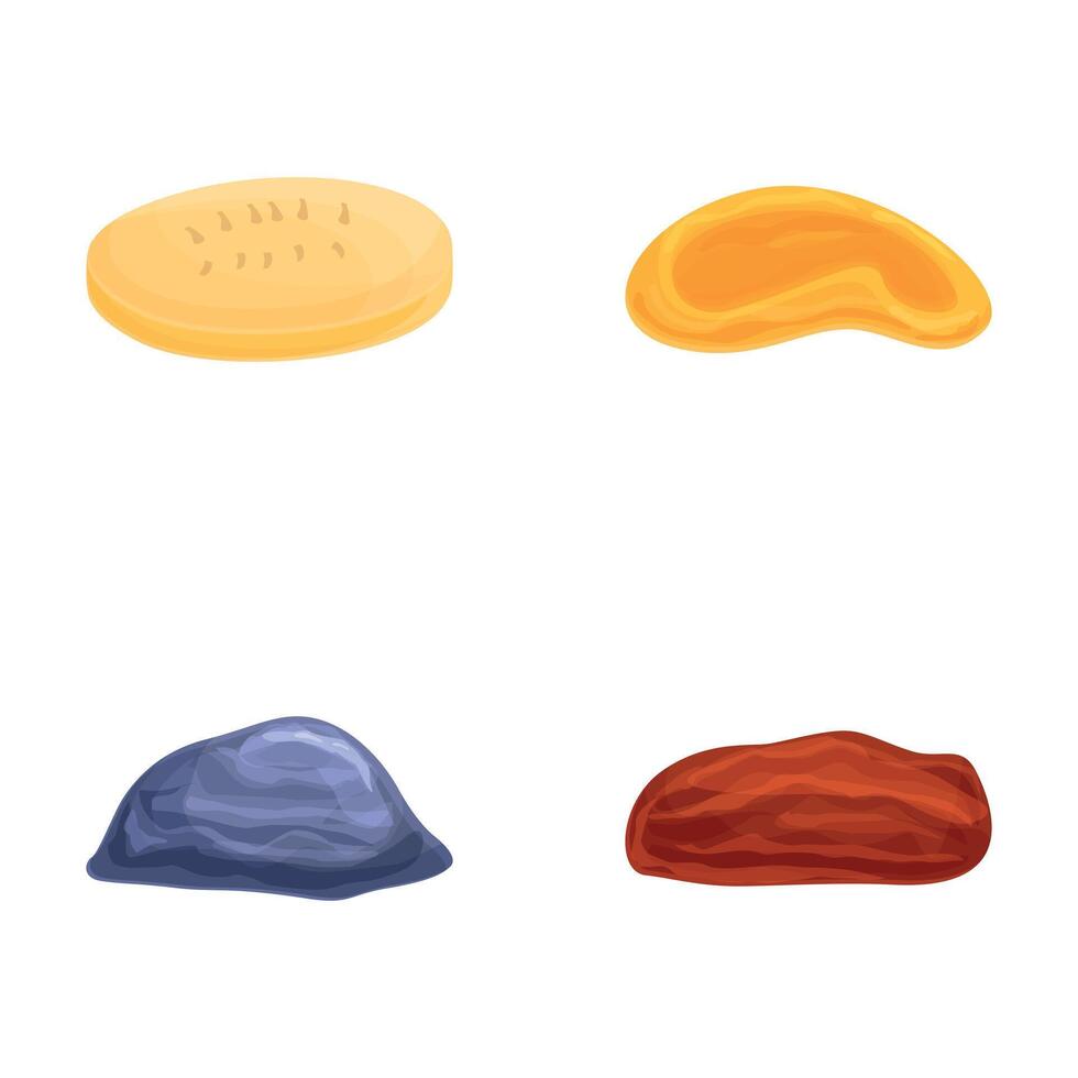 Fruit icons set cartoon . Various delicious healthy dried fruit and nut vector