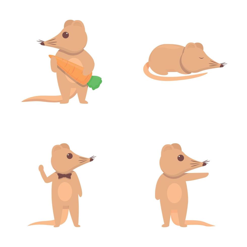 Shrew mouse icons set cartoon . Long nose shrew mouse vector