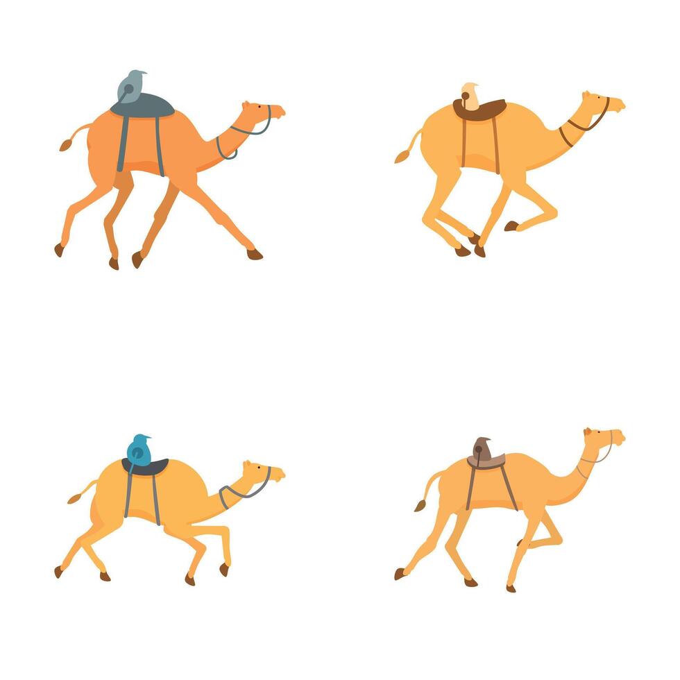 Set of cartoon camels in various poses vector