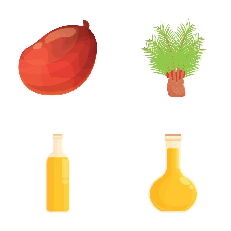 Tropical date palm fruit and oil bottles set vector