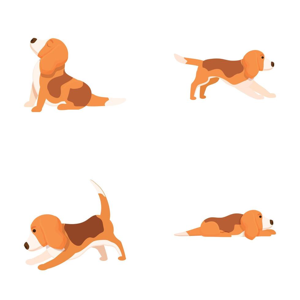 Set of beagle dog poses vector