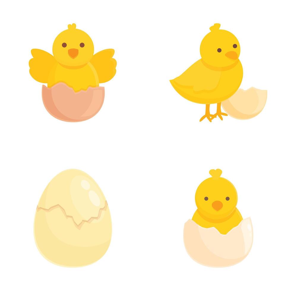 Set of four adorable cartoon chicks and eggs in various stages of hatching vector