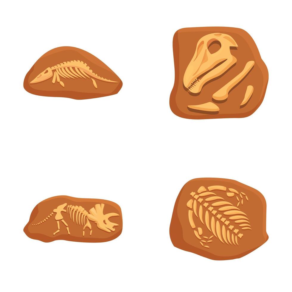 Collection of four detailed prehistoric fossils illustrations, isolated on white vector