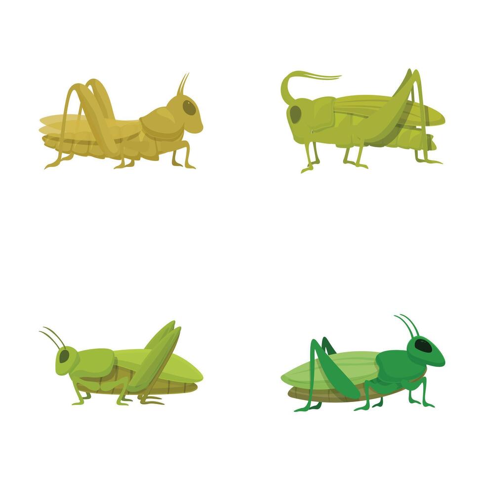 Set of cartoon grasshoppers in various poses vector