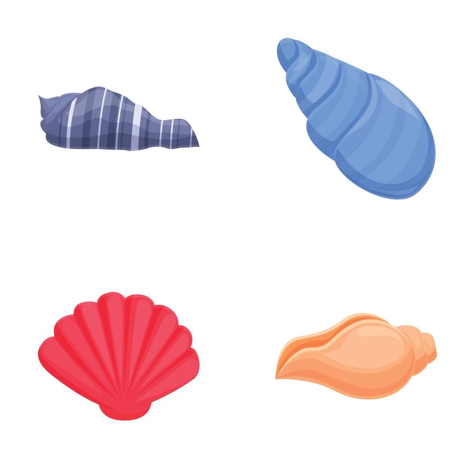 Collection of colorful seashell illustrations vector