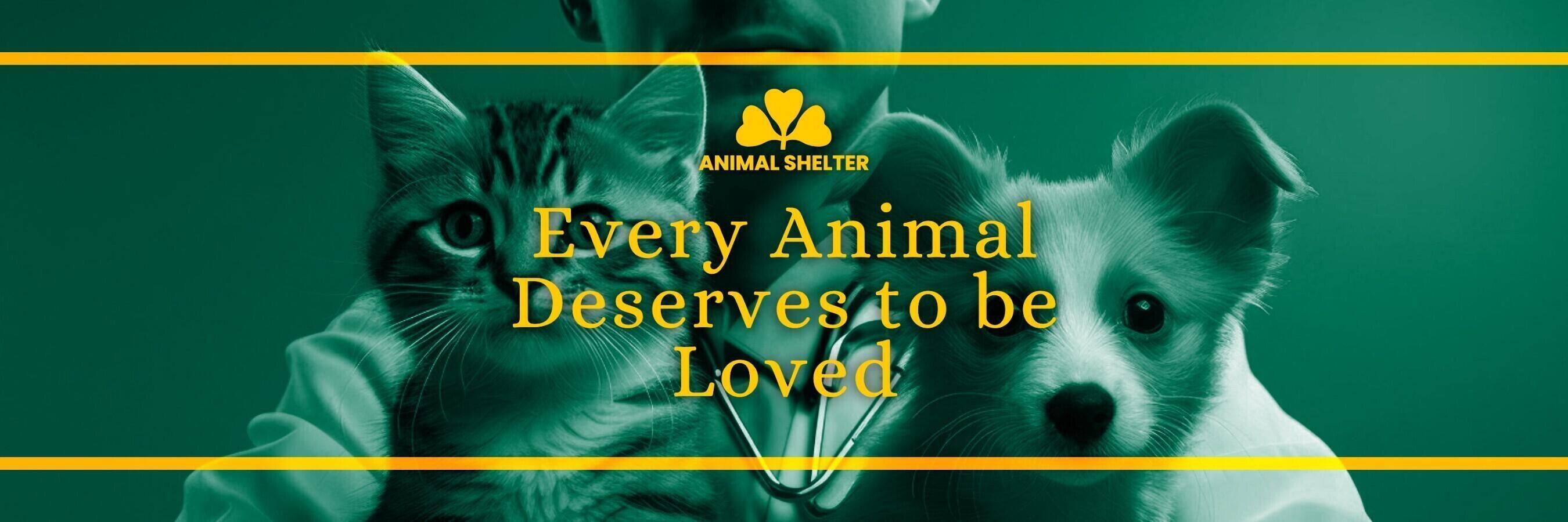 Green Animal Foundation Social Service Twitter Header template