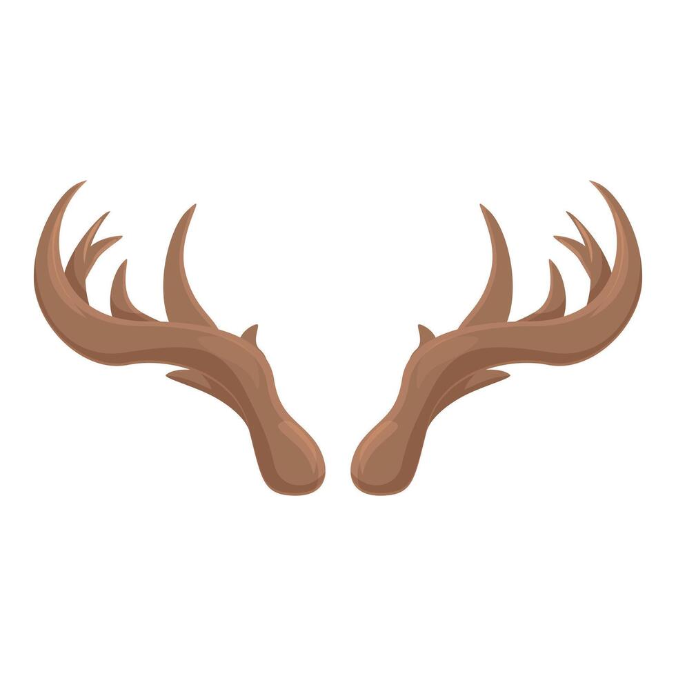 Pair of brown antlers from a large male deer vector