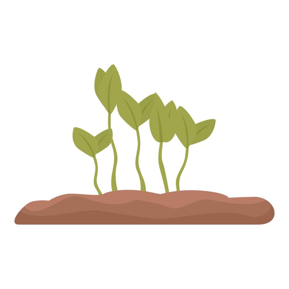 Five young plants growing from the ground with white background vector