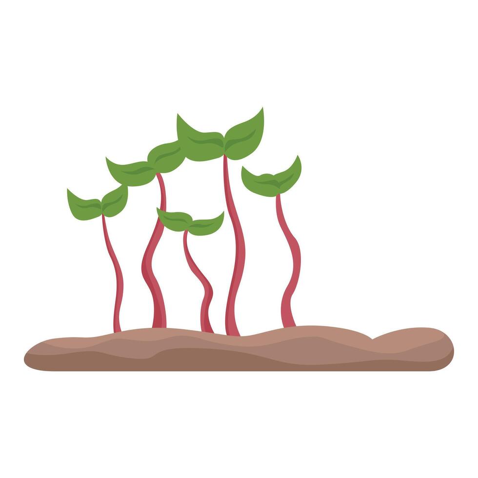 Five green sprouts growing from the ground vector