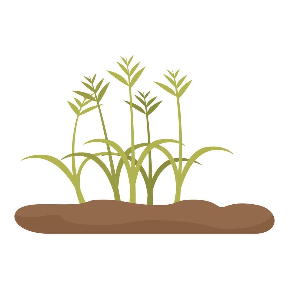 Green grass growing from the ground vector