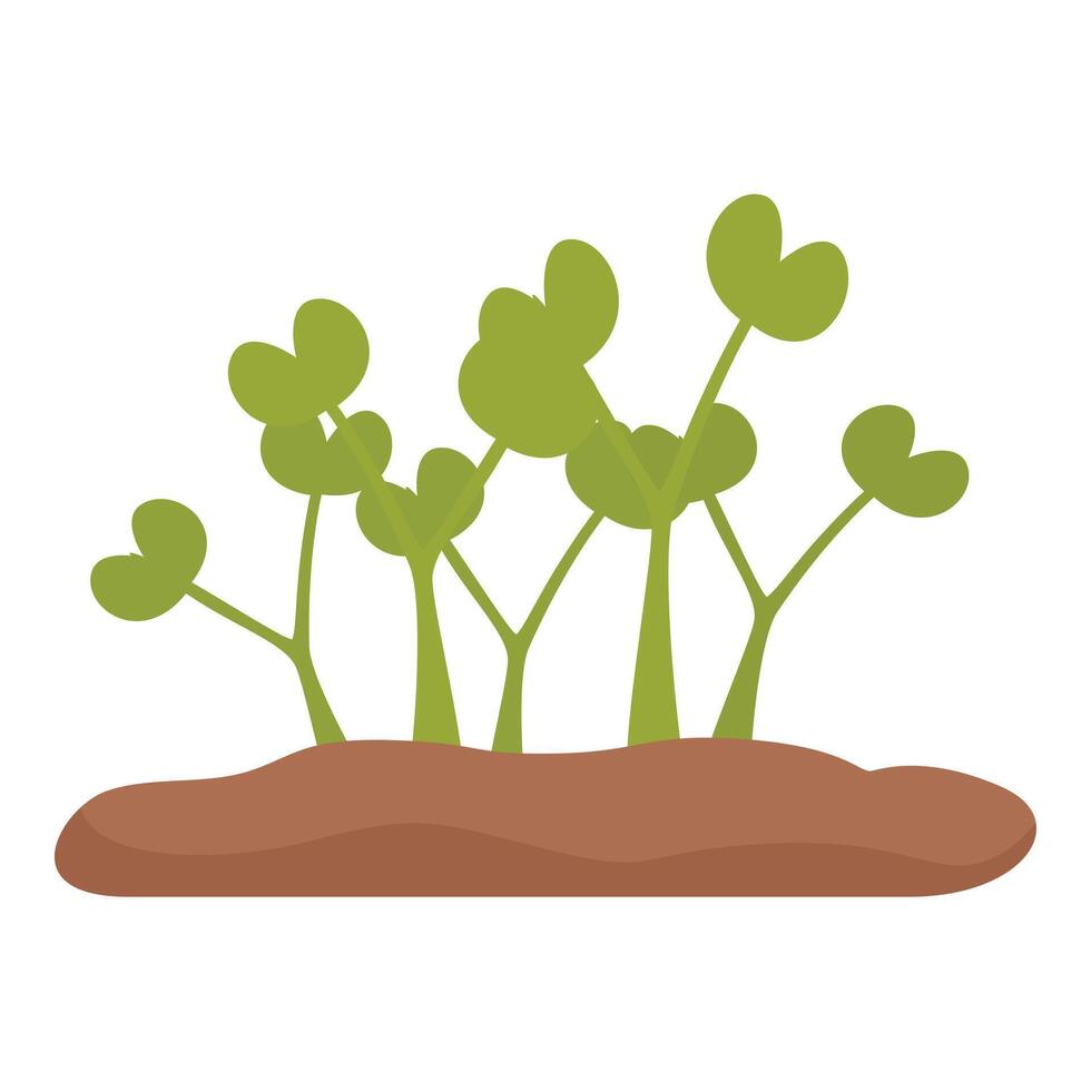 Small green plants growing from brown soil on white background vector