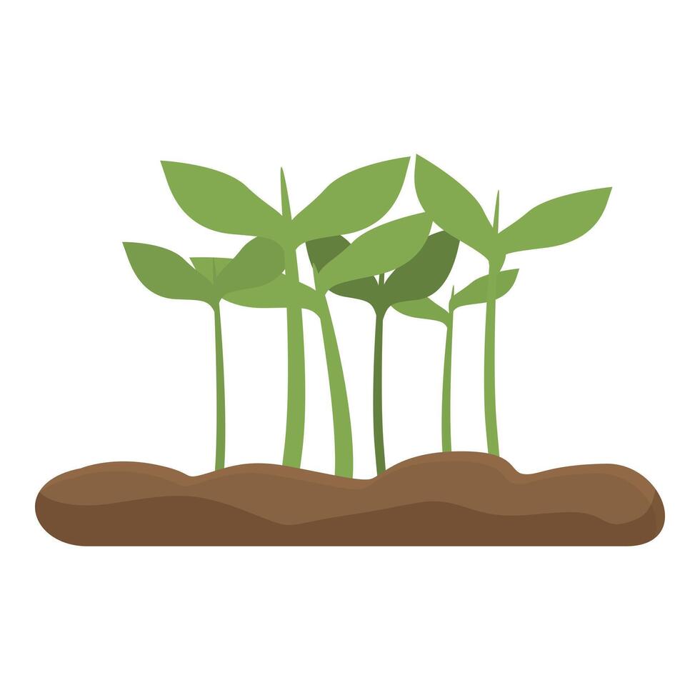 Few young plants are growing from fertile soil vector