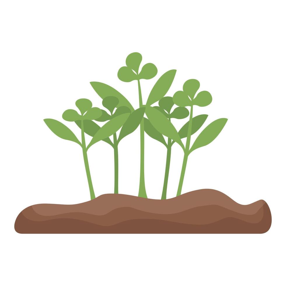 Five small green plants growing from brown soil vector