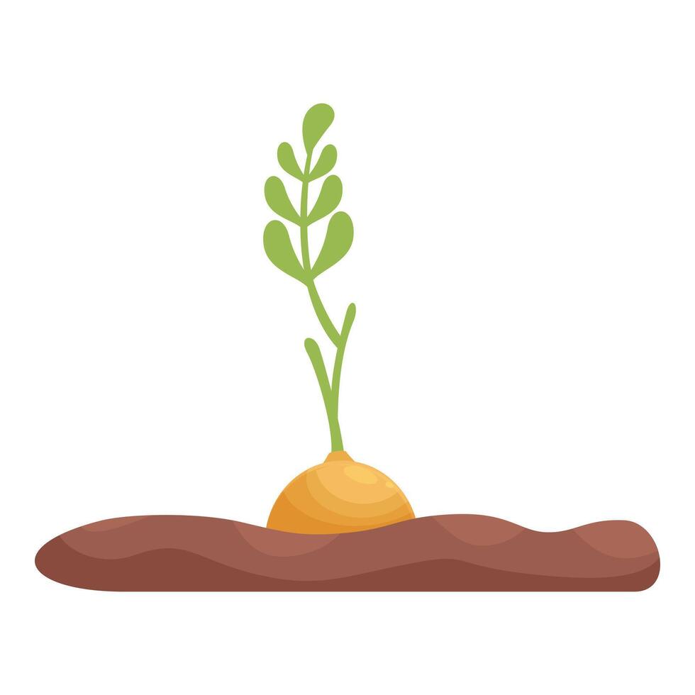 Small plant growing out of soil with green leaves vector