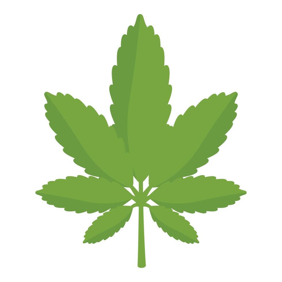 Green marijuana cannabis leaf with seven leaflets growing upwards vector
