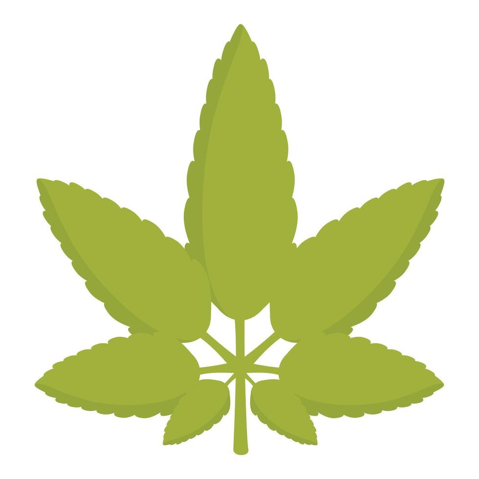 Green cannabis leaf with seven leaflets representing hope and healing vector
