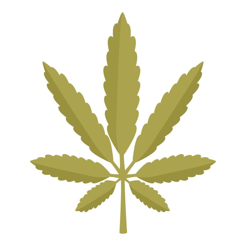 Green cannabis leaf with seven leaflets representing medical marijuana vector