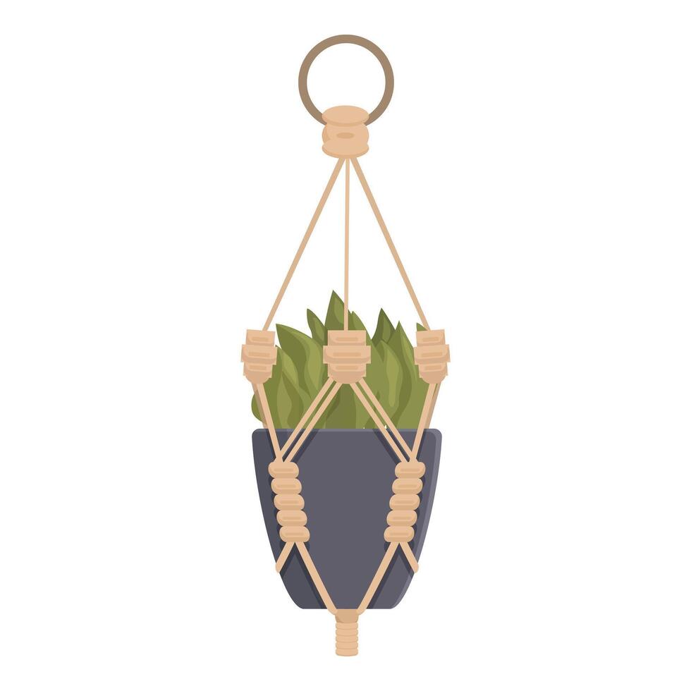 Macrame plant hanger with a succulent is hanging from the ceiling vector