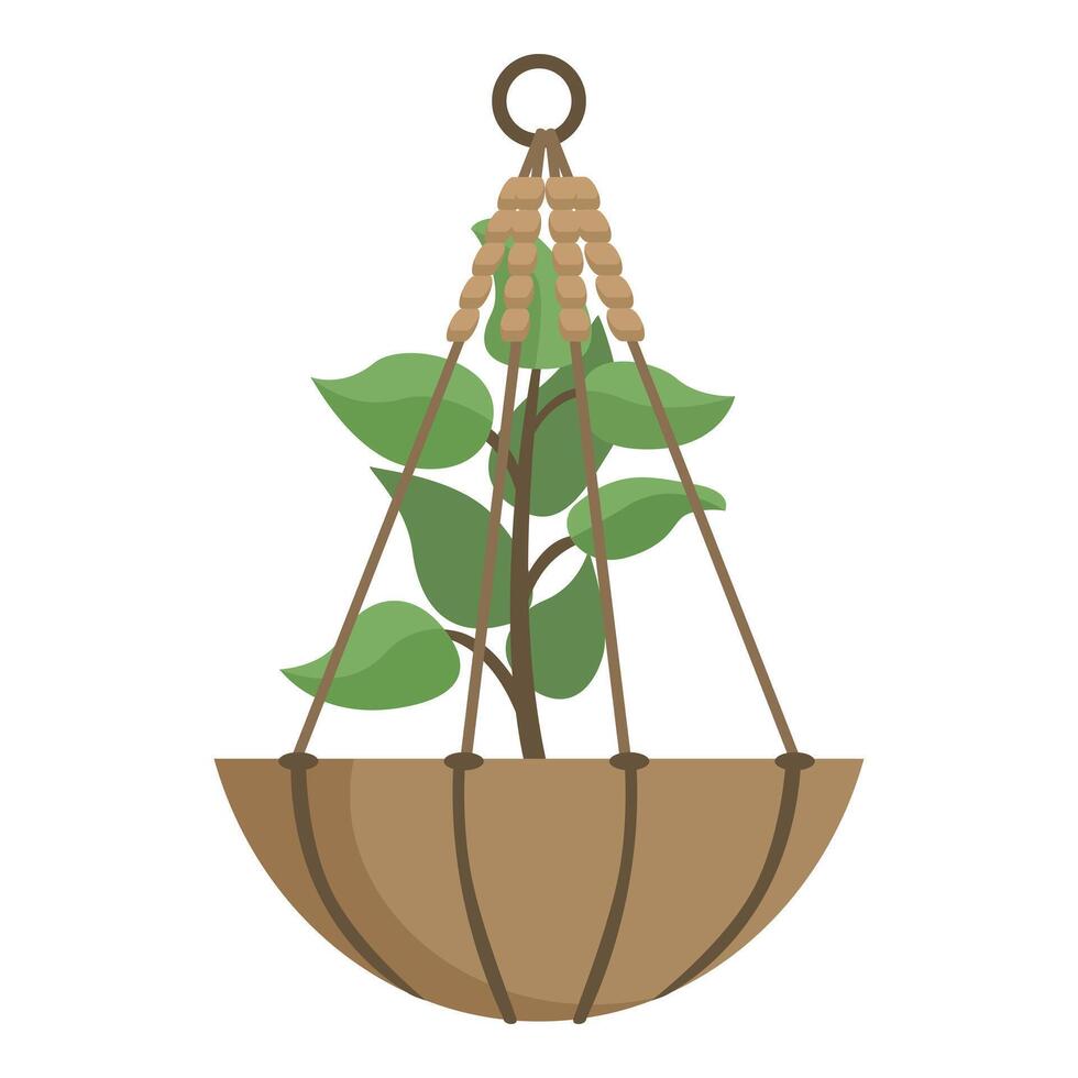 Small tree growing in a hanging pot is suspended from the ceiling vector