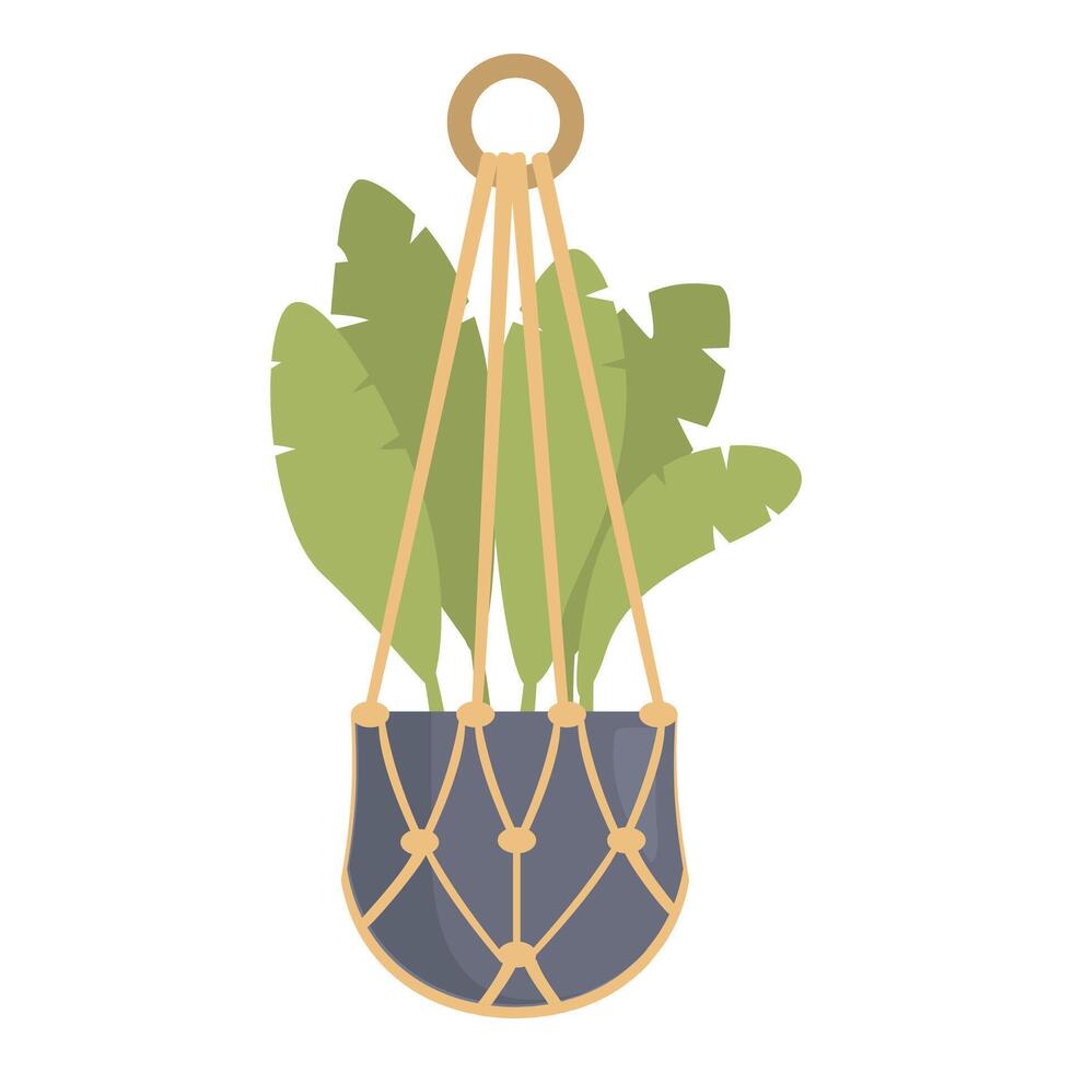 Green tropical houseplant with large leaves growing in hanging planter with macrame vector