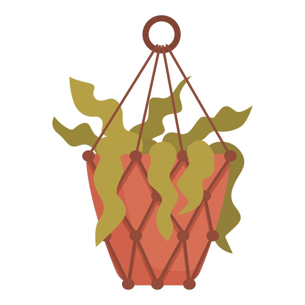 Green plant is growing in a macrame plant hanger vector
