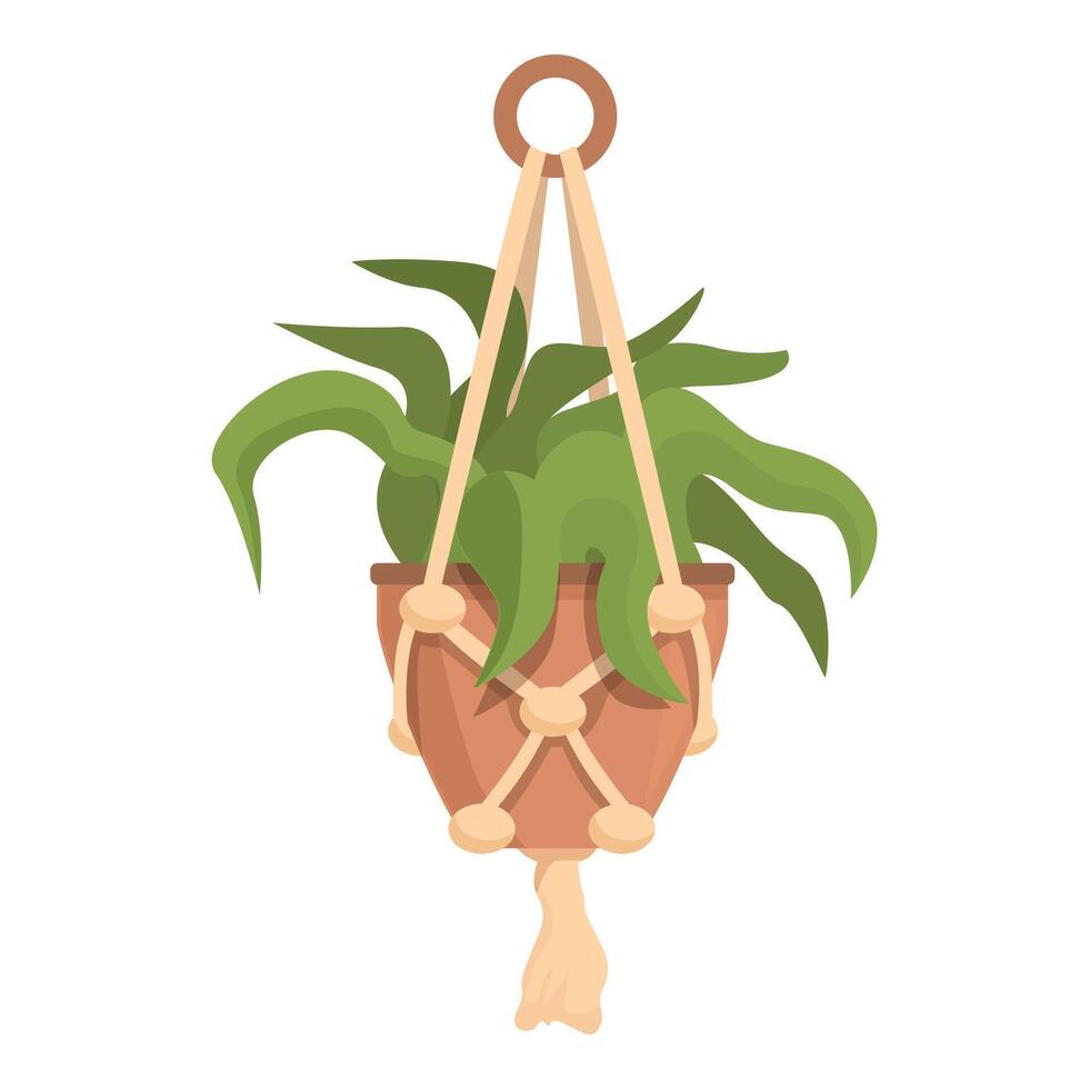 Green houseplant with long leaves hanging in a brown macrame planter vector