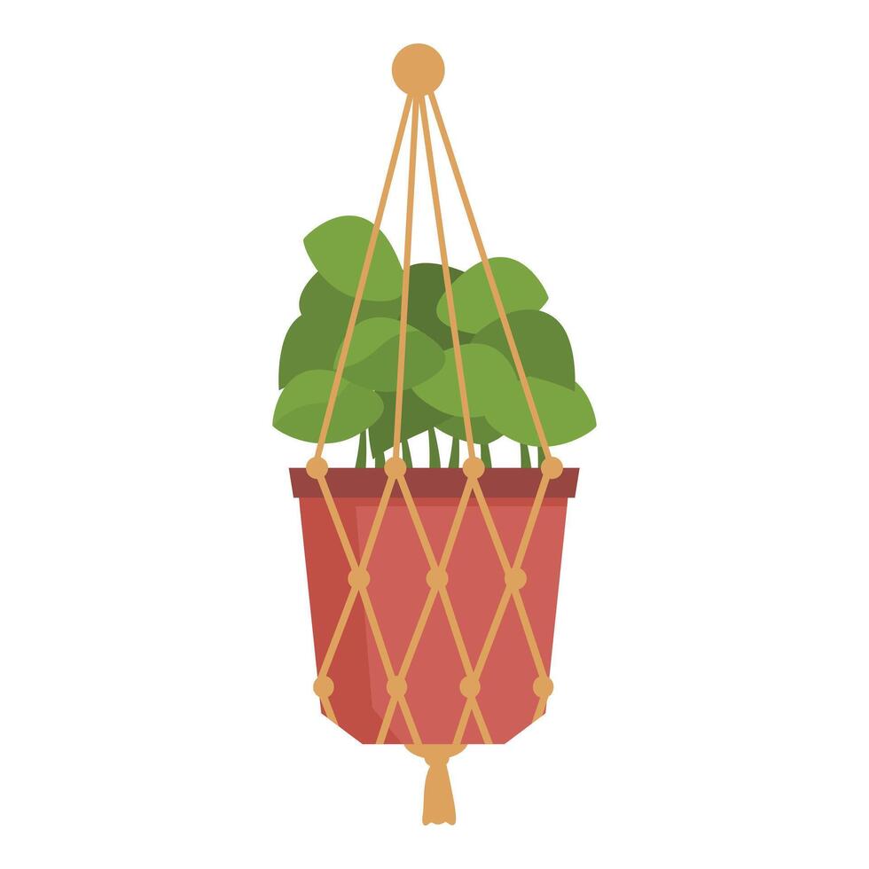 Green houseplant hanging in macrame plant hanger is bringing nature indoors vector