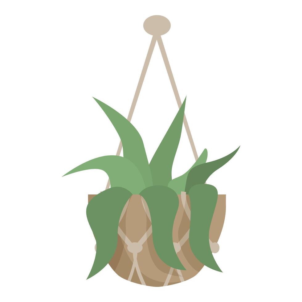 Green leafy houseplant is suspended in a macrame plant hanger vector