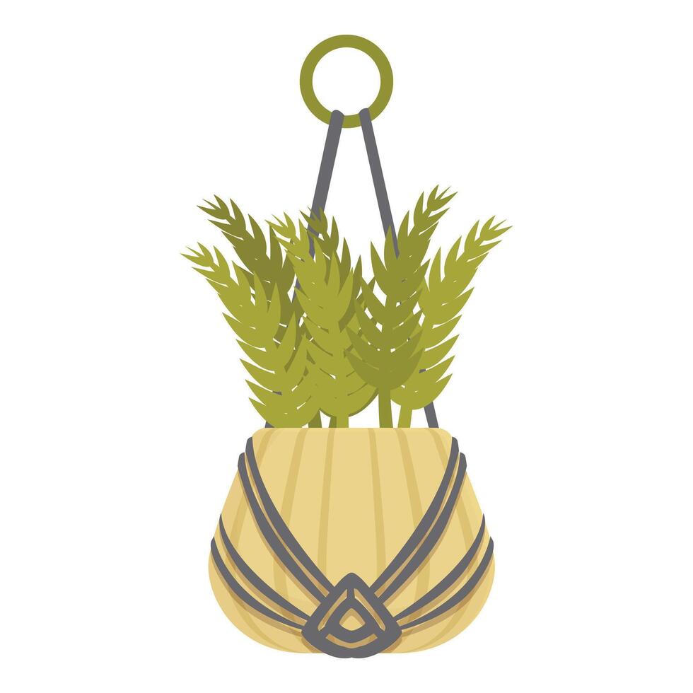 Green plant growing from hanging macrame planter isolated on white background vector